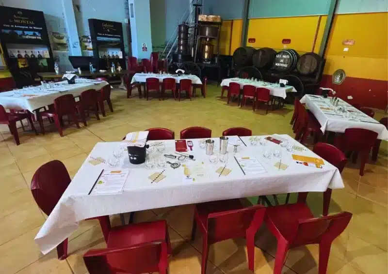 Atelier de cocktails à l'armagnac pour VineArt en Gascogne
