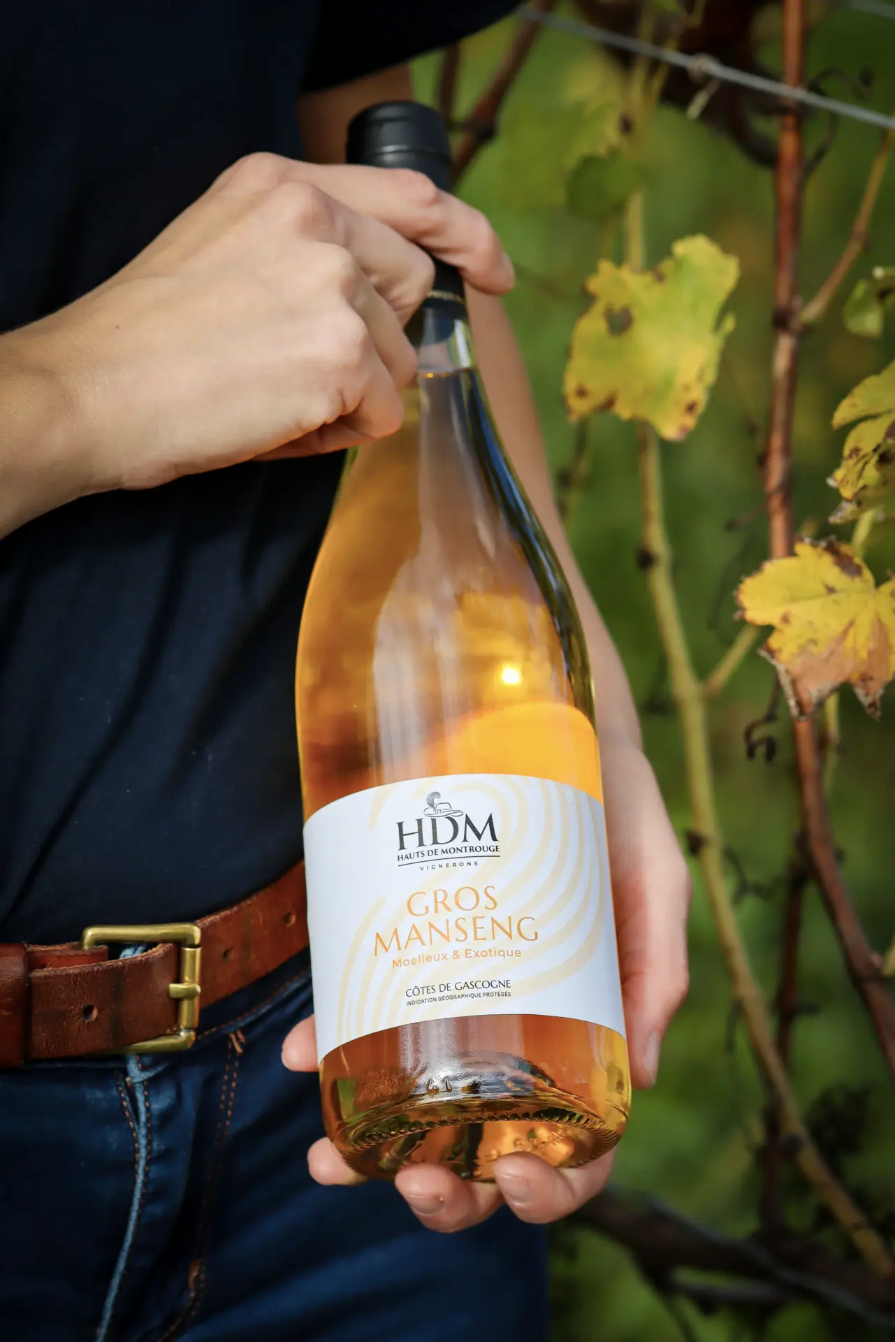 hauts-de-montrouge-revue-presse