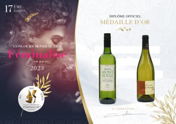 Récompense Féminalise 2023